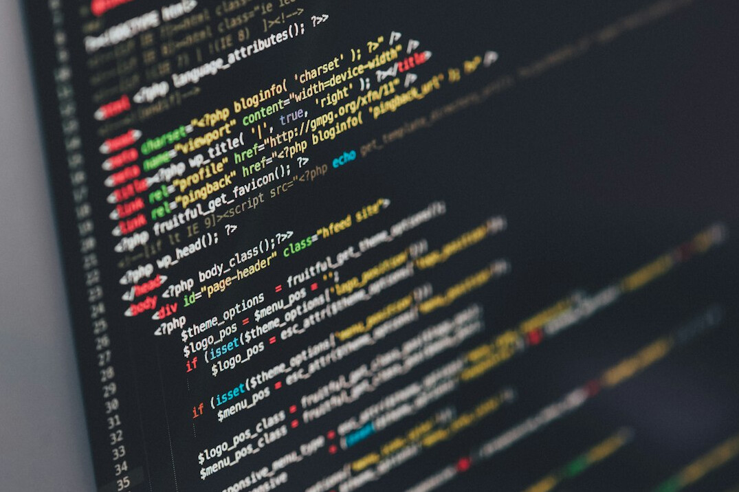 developer coding insurance software